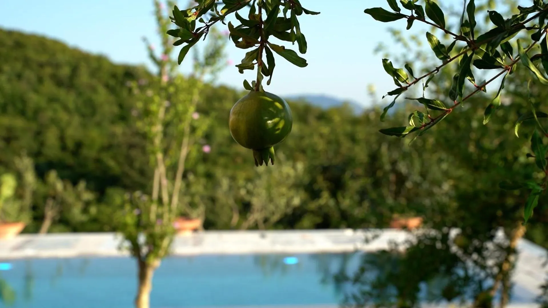 Villa Vila Ndreca Tirana